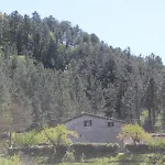 Bed & Breakfast Paradiso