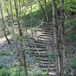 Paradiso 3*