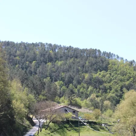 Paradiso Frühstückspension