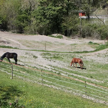 Paradiso Frühstückspension Gubbio