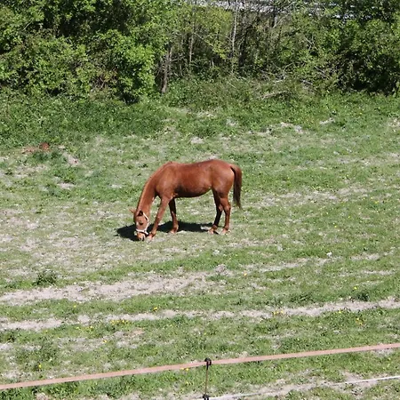 Frühstückspension Paradiso