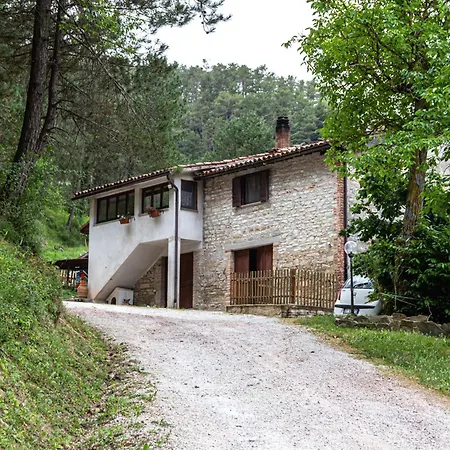 Paradiso 3*