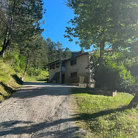 Paradiso