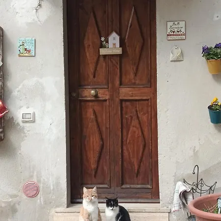 Bed & Breakfast Paradiso