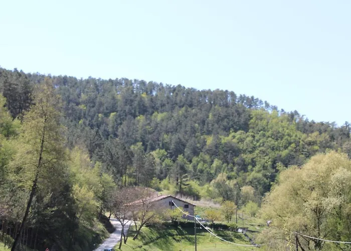 Paradiso 住宿加早餐酒店