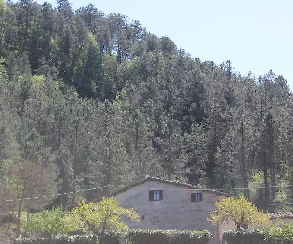 住宿加早餐酒店 Paradiso