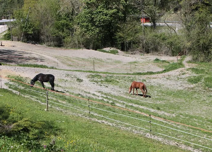 Paradiso 住宿加早餐酒店 古比奥