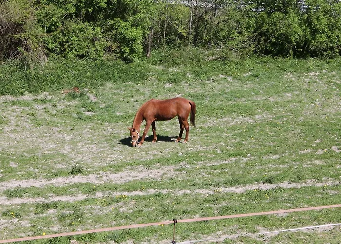 住宿加早餐酒店 Paradiso