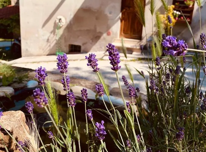 Paradiso 3* 古比奥