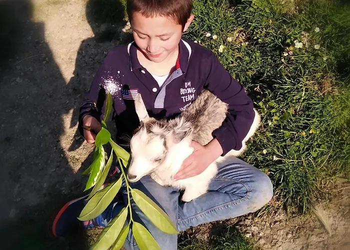 Paradiso 3* 古比奥